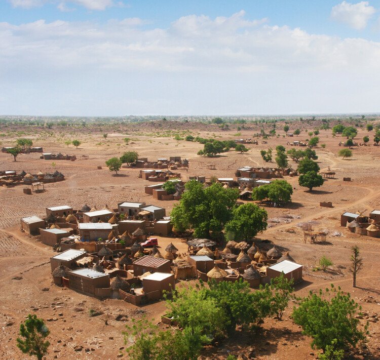Piyon Co.