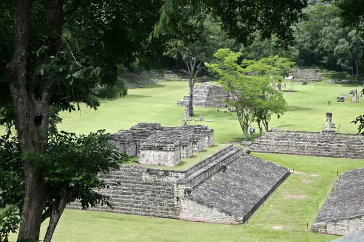 Piyon Co.